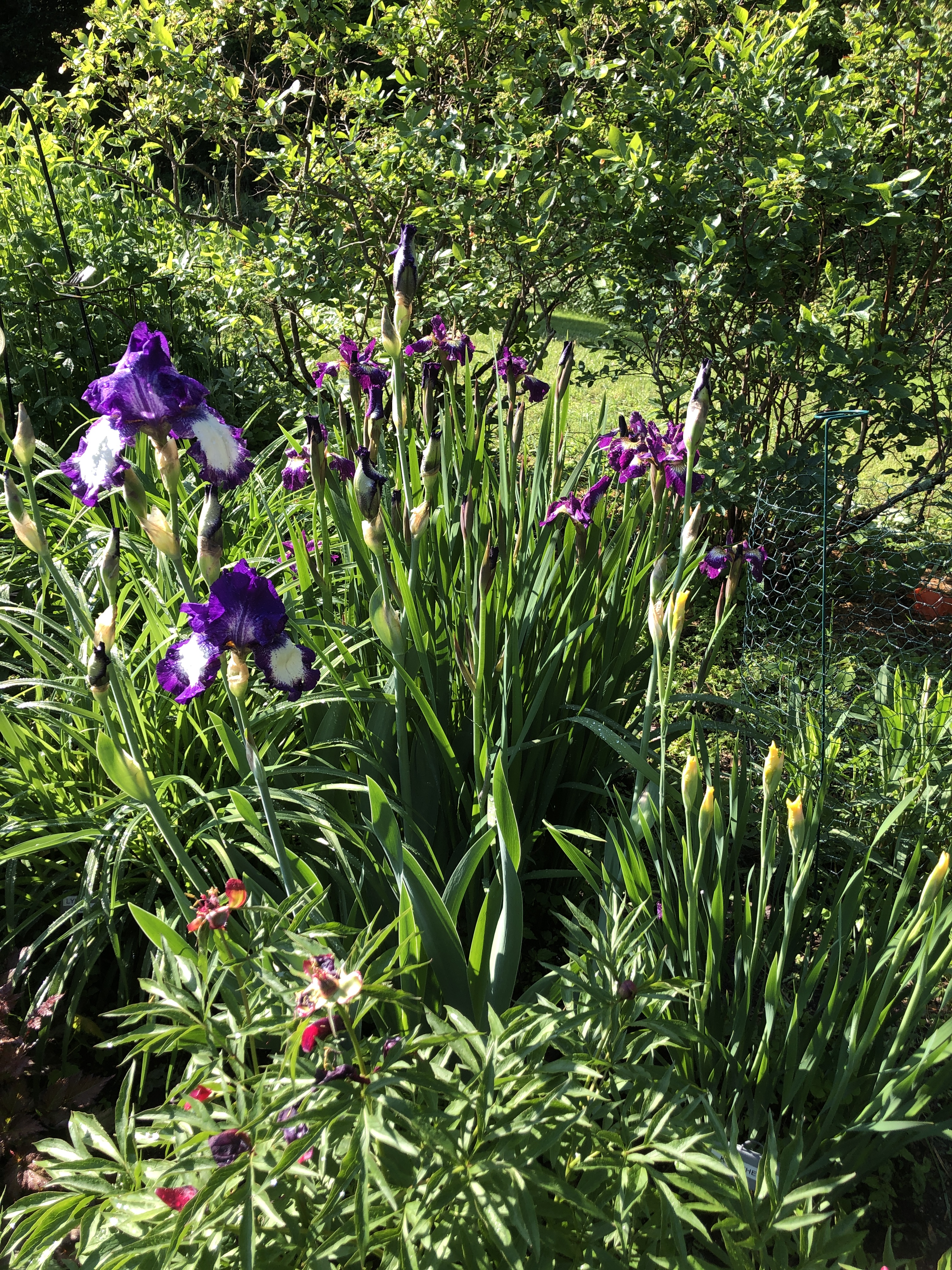 58125699724__C93C7C46-8097-4488-B185-9DE39006B39C