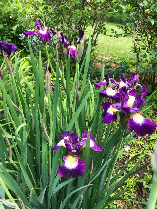 58127817921__0C0A18BC-5A3C-480B-B68B-86085EEDD983